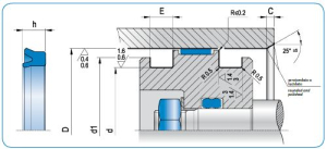 Diagram - PSA Type Piston Seal