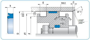 Diagram - PAE Type Piston Seal