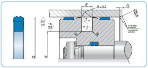 Diagram - PSQ Type Piston Seal