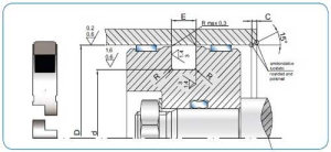 Diagram - PSZ Type Piston Seal