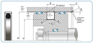Diagram - PSN Type Piston Seal